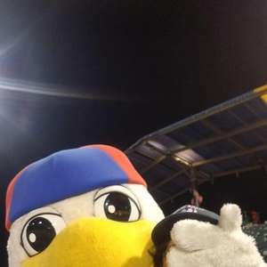 Meet your Posher, Anne